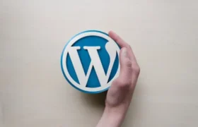 WordPress Developer in Bangladesh