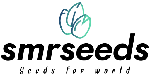 WordPress Developer in Bangladesh - client logo